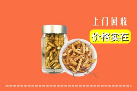 收购资讯:大同市云冈回收散虫草