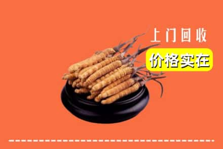 高价收购:大同市云冈上门回收冬虫夏草