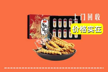 大同市云冈回收虫草