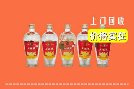 大同市云冈回收老五粮液